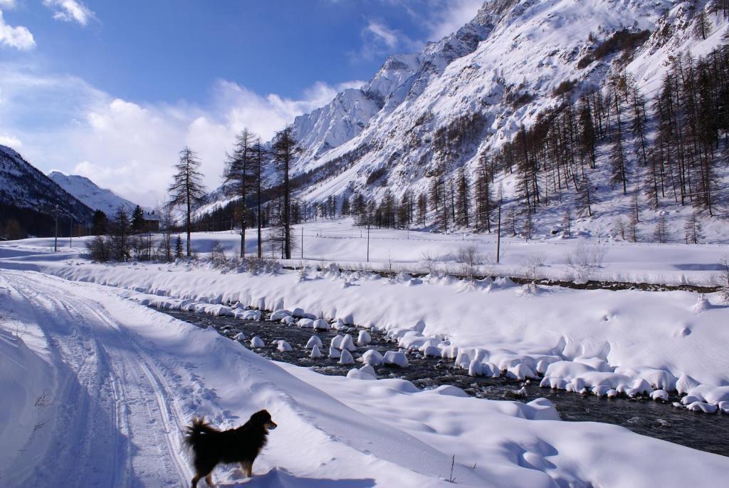 Albergo Boule De Neige Rhemes-Notre-Dame Bilik gambar
